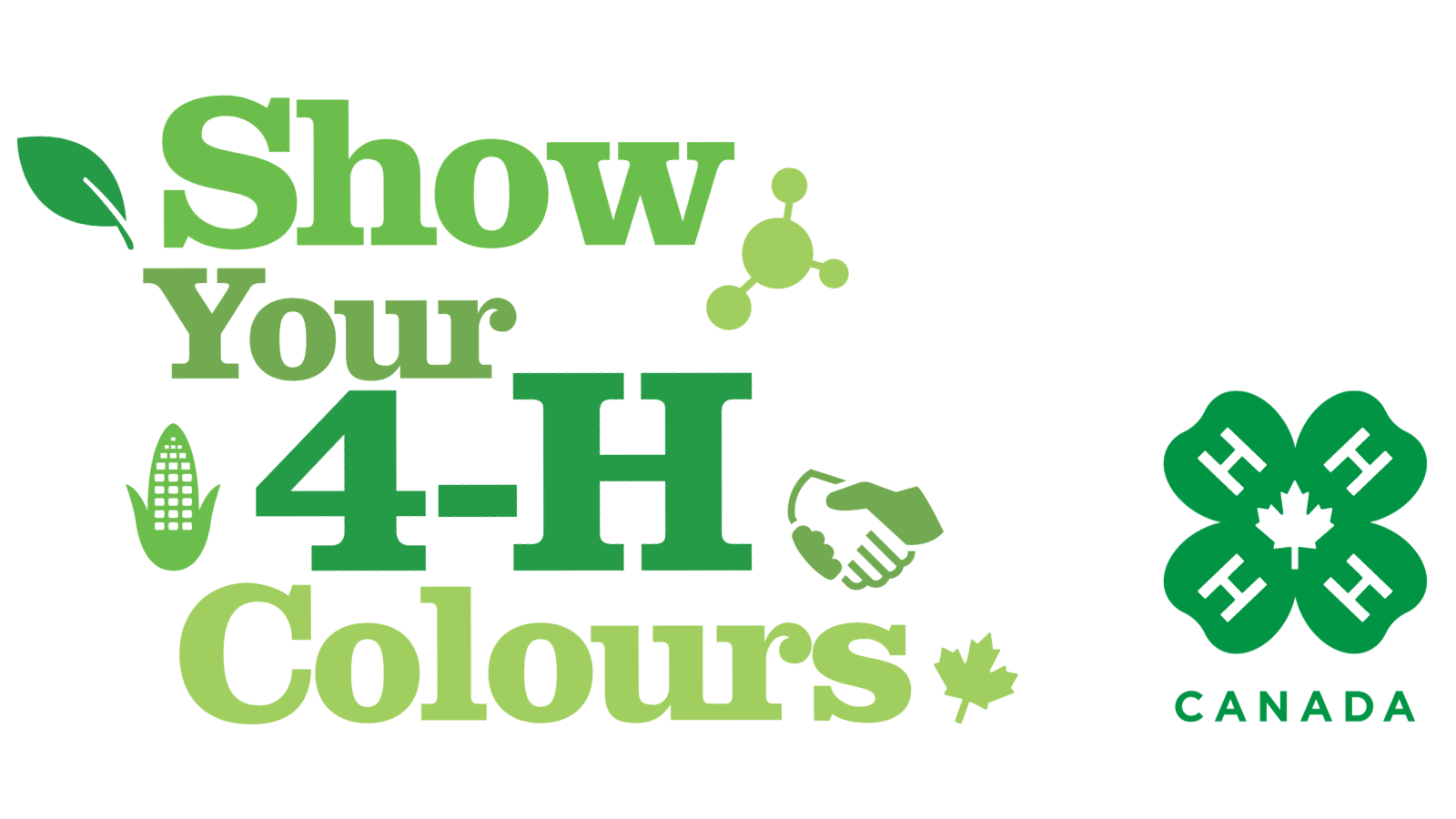 Show Your 4-H Colours